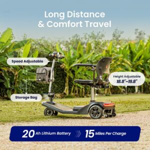 VOCIC D50 with 20Ah lithium battery and adjustable seat height