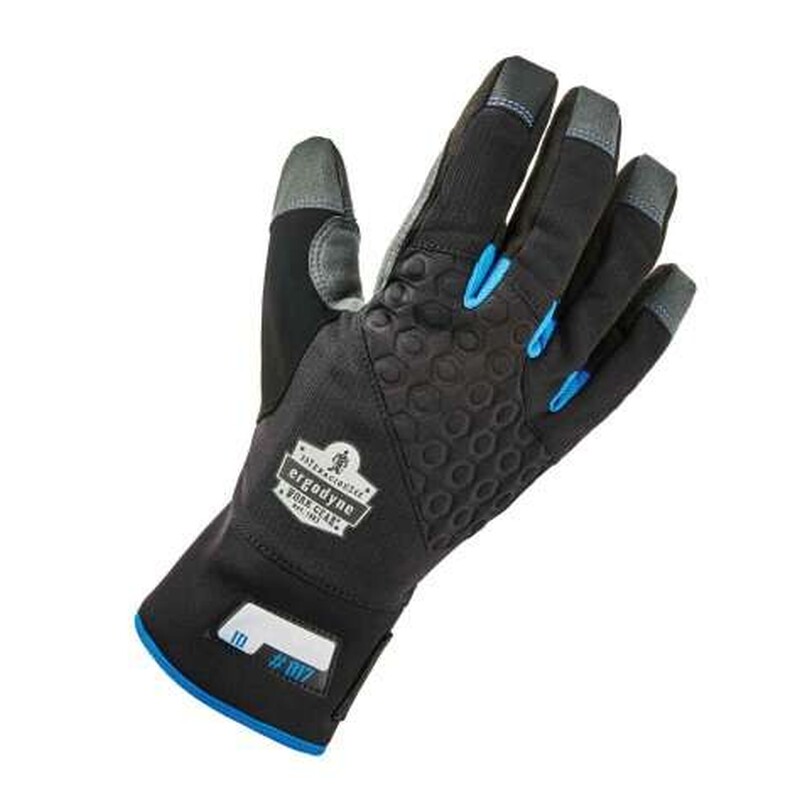 Ergodyne ProFlex 817 Reinforced Thermal Utility Gloves, Large – Thermal Work Gloves with 3M Thinsulate, Touchscreen Tips, Case of 6 Pairs