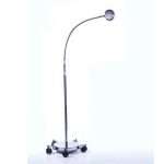 Brandt Industries Gooseneck Floor Lamp with LED Exam Light and Flexible Arm