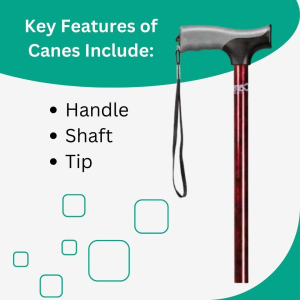 Key features of canes