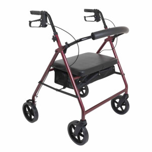 ProBasics Bariatric Rollator with 8-inch Wheels - Image 1