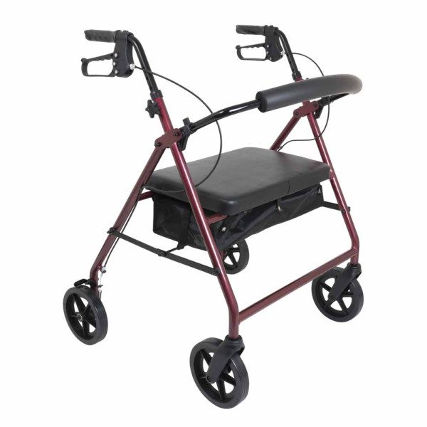 ProBasics Bariatric Rollator with 8 inch Wheels ProBasics Bariatric Rollator with 8 inch Wheels