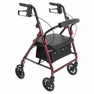 ProBasics Junior Rollator with 6-inch Wheels - Image 1