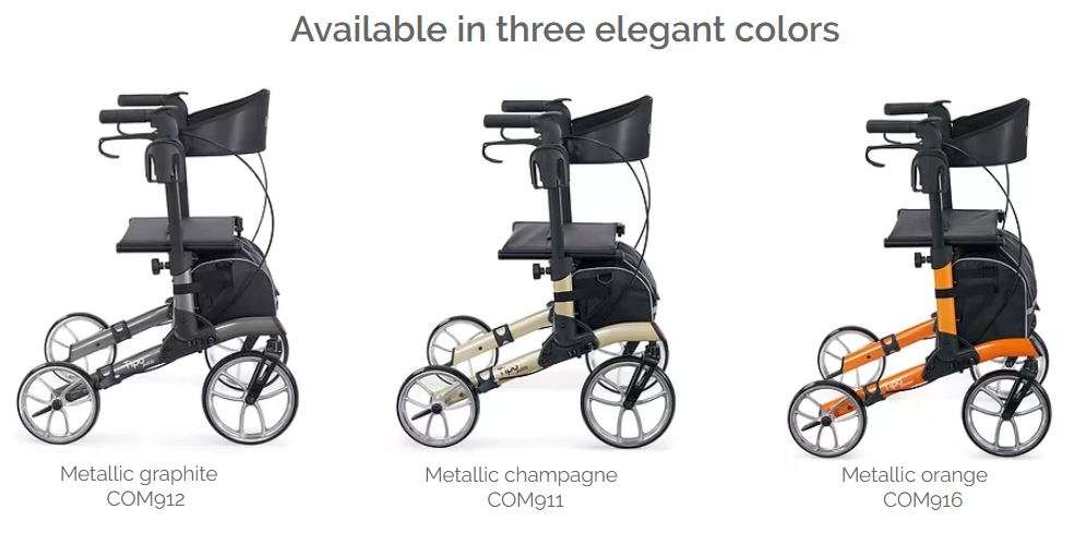 tipo petite2 tipo petite2