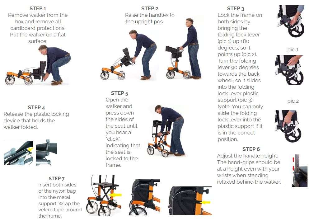 tipo petite3 tipo petite3